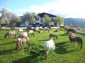 Reiterhof Köck, Feldkirchen In Kärnten, Österreich, Feldkirchen In Kärnten, Österreich